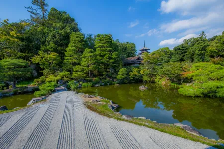 Winding forest path through Japanese woodland with natural vegetation and peaceful atmosphere