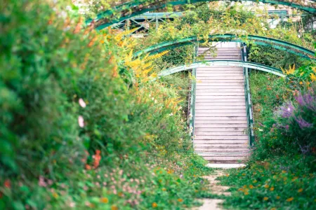Natural Japanese ecosystem with native plants, wildlife habitat, and environmental features