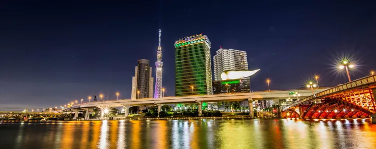 Vibrant Japanese urban culture scene showing modern city life and contemporary society