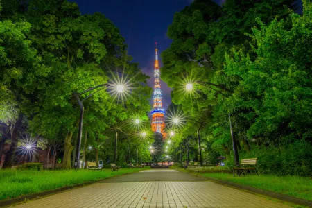 Iconic Tokyo Tower glowing red against night sky with sparkling city lights spread below